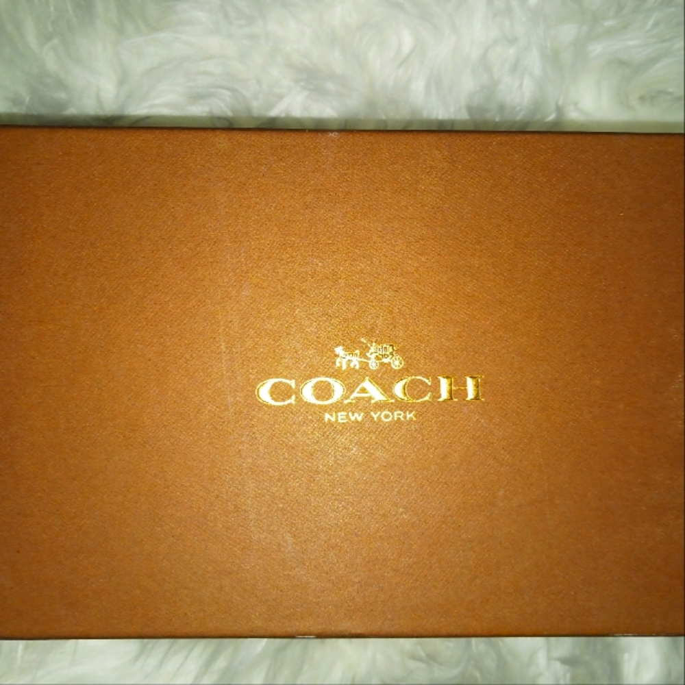 Coach Black Kitten Heel Pumps